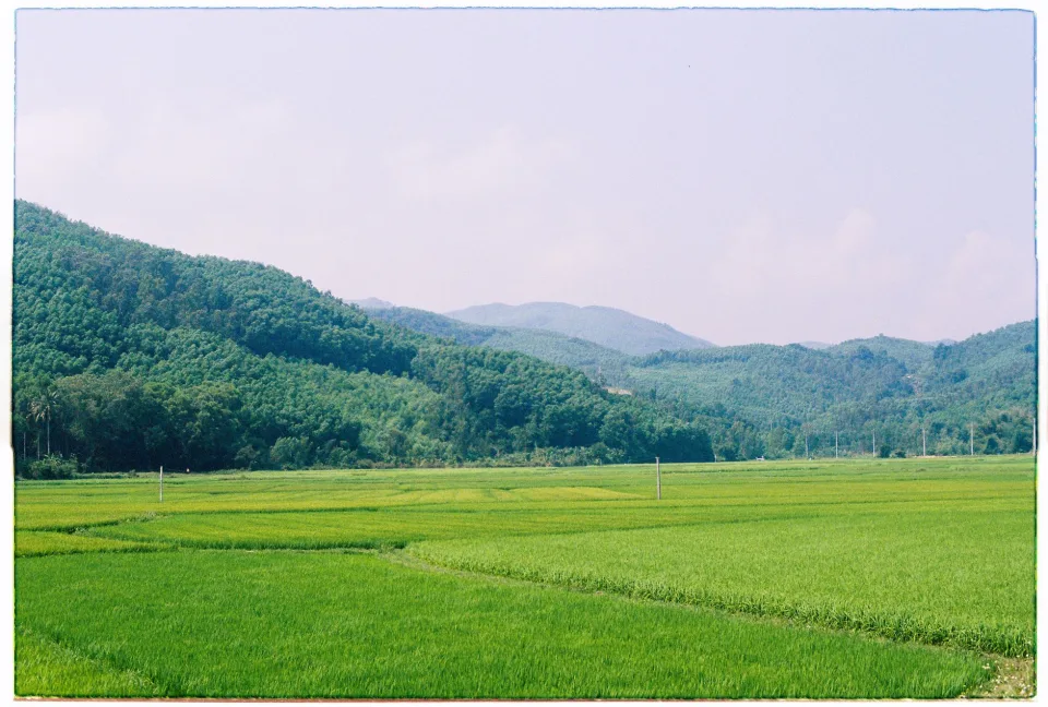 Kho gạo của Phạm Tấn Định